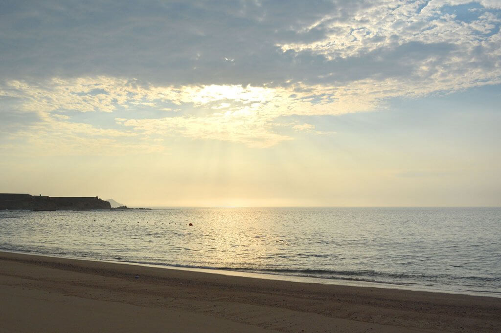 playas platino chileno